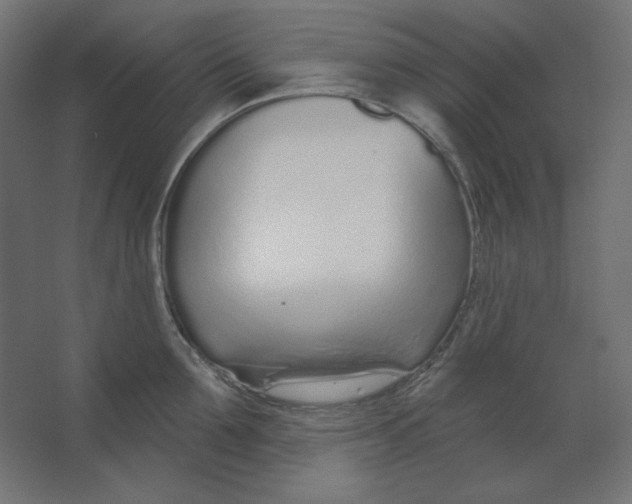 X0000067330907200604211906