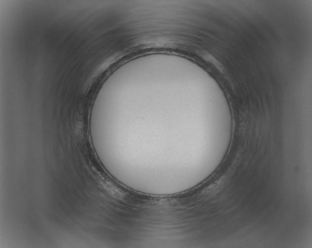 X0000067330922200604211905