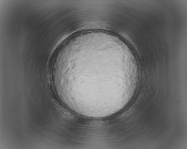 X0000067330925200604211905