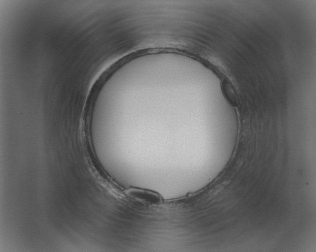 X0000067330928200604211906