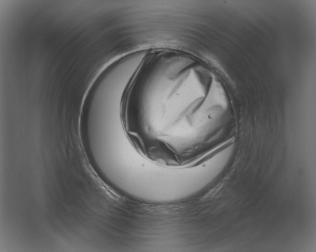 X0000067330932200604211906
