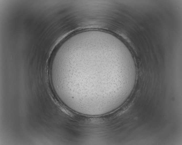 X0000067330933200604211906