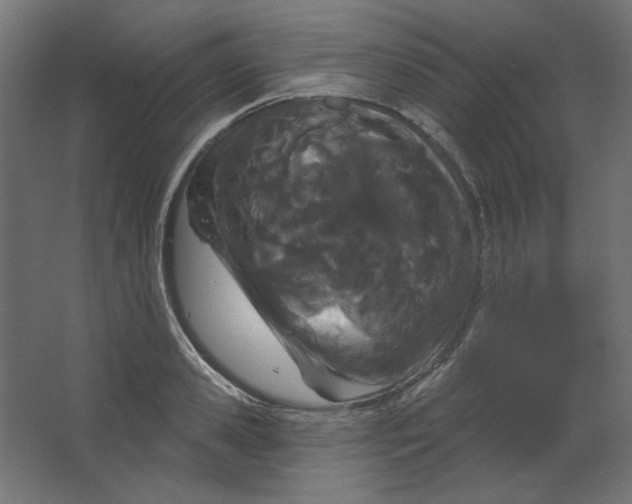 X0000067330941200604211906