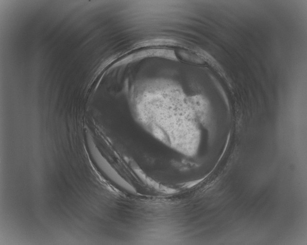 X0000067330945200604211906