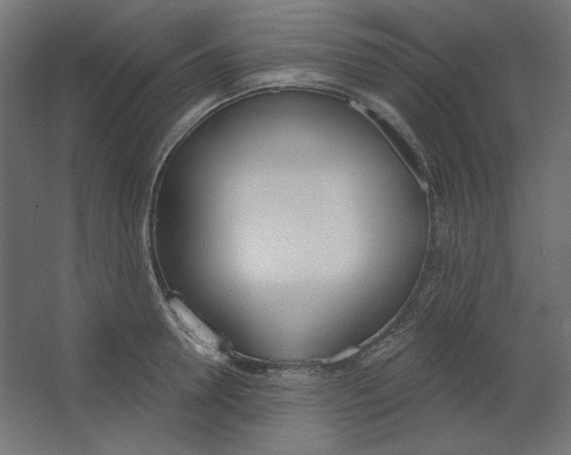 X0000067330946200604211906