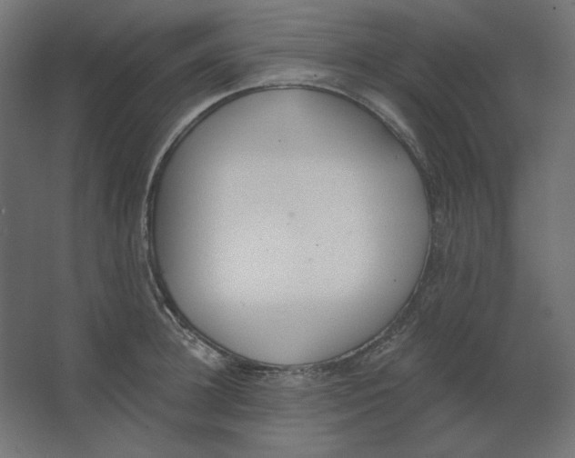 X0000067330948200604211906