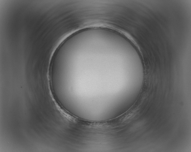 X0000067330951200604211906