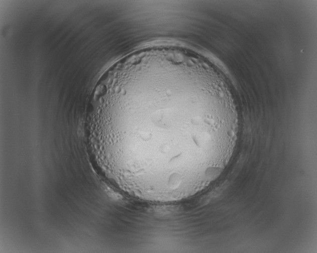 X0000067330953200604211906