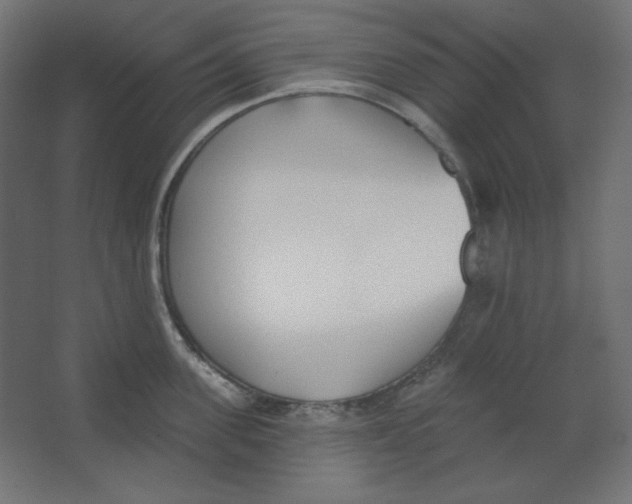 X0000067330955200604211906