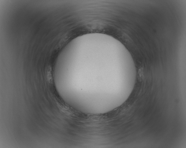 X0000067330963200604211905