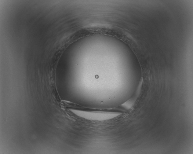 X0000067330965200604211905