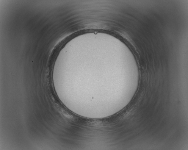 X0000067330971200604211905