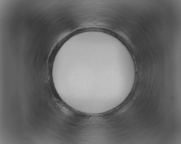 X0000067330974200604211905