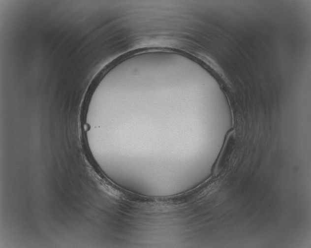 X0000067330980200604211905