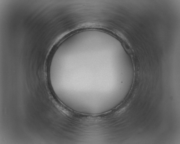 X0000067330981200604211905