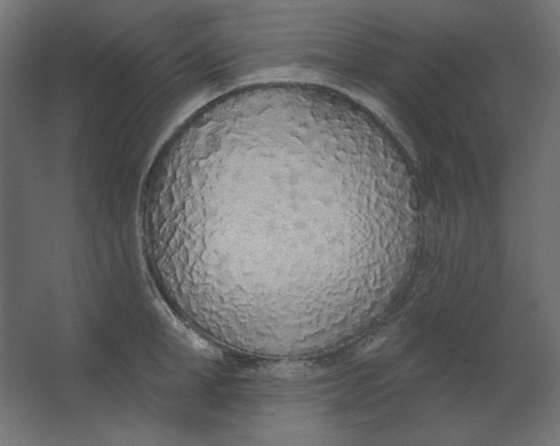 X0000067330998200604211905