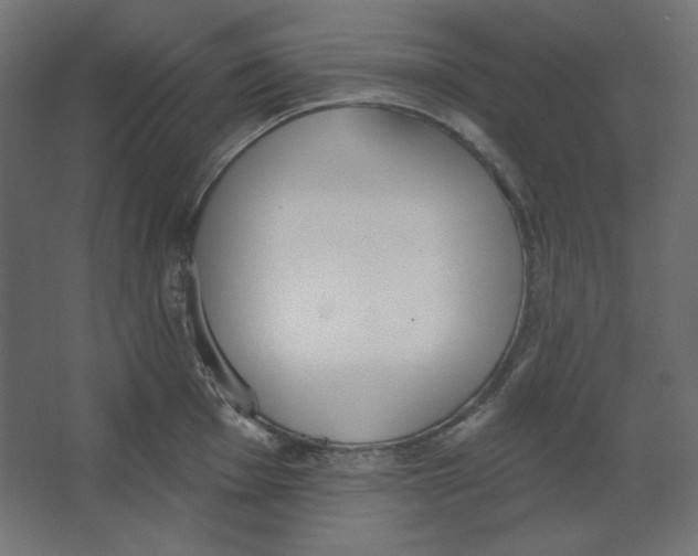 X0000067331001200604211905