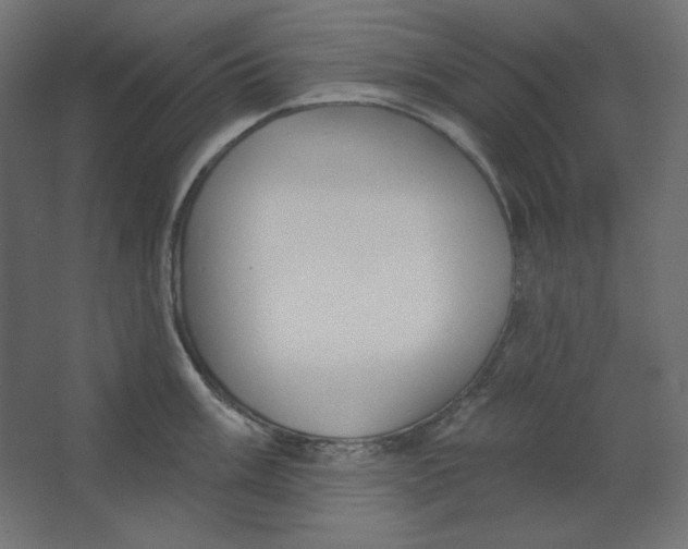 X0000067331003200604211905