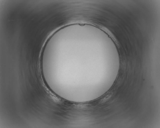 X0000067331004200604211905