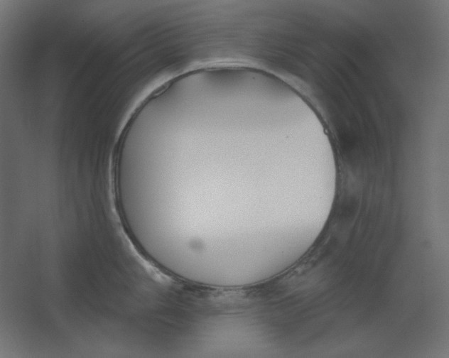 X0000067331006200604211904