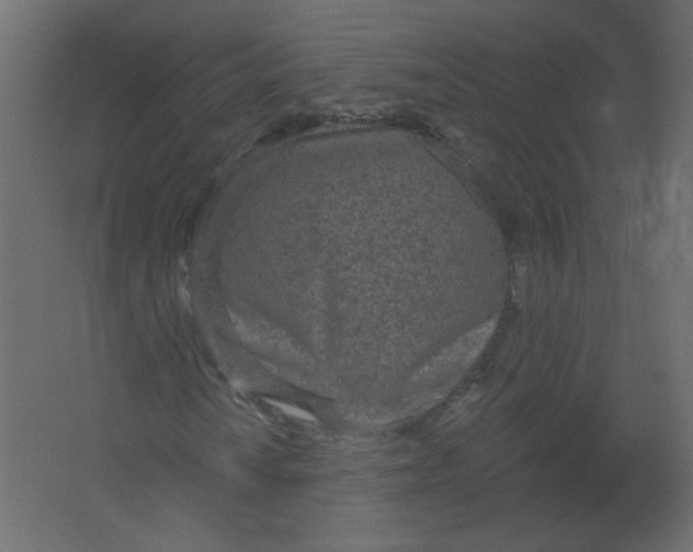 X0000067331010200604211904