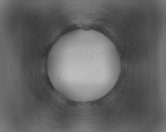X0000067331012200604211904