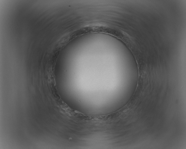 X0000067331014200604211904