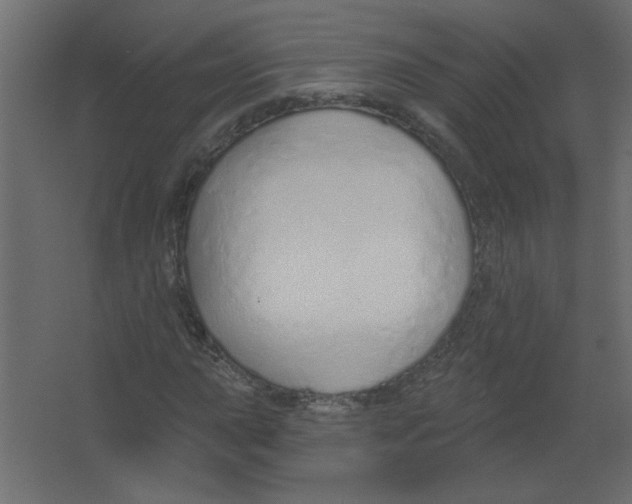 X0000067331015200604211904