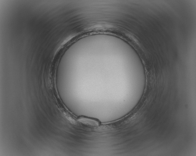 X0000067331018200604211904
