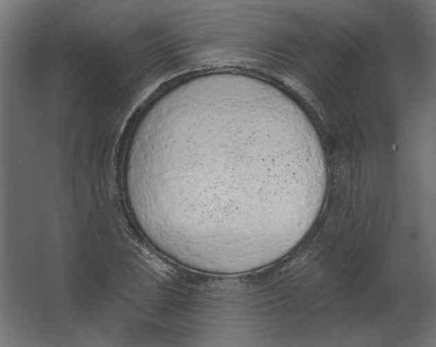 X0000067331023200604211904