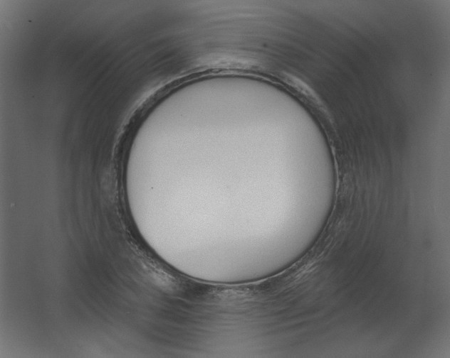 X0000067331027200604211904