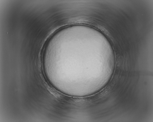 X0000067331031200604211904