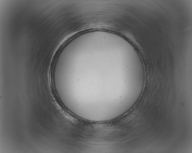 X0000067331032200604211904