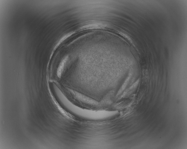 X0000067331034200604211904