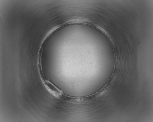 X0000067331042200604211904