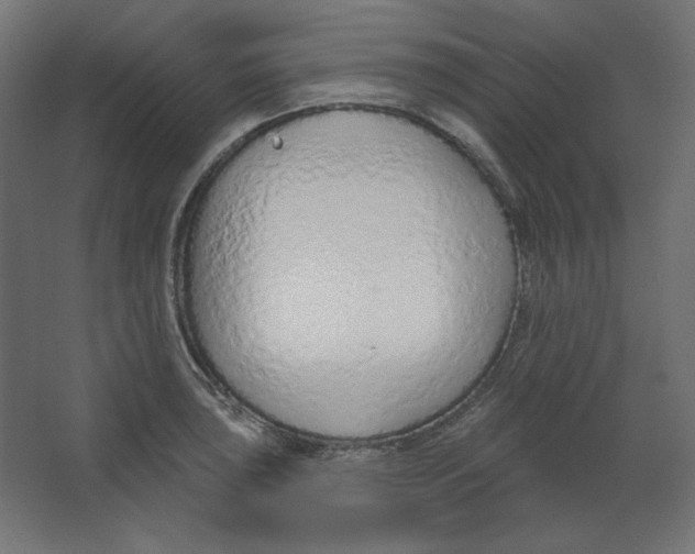 X0000067331043200604211904