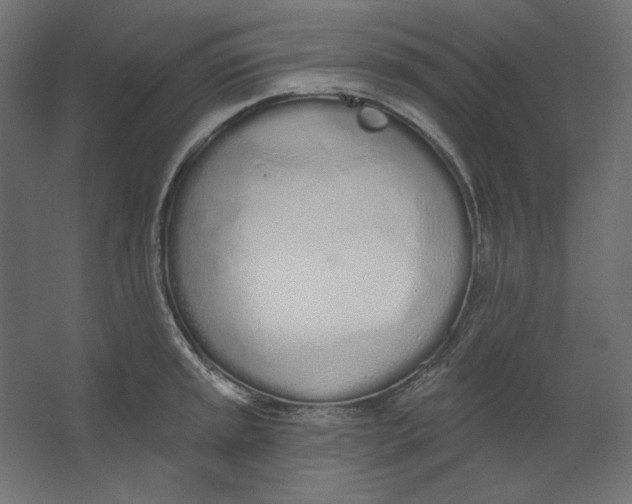 X0000067331045200604211904