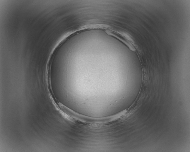 X0000067331046200604211904