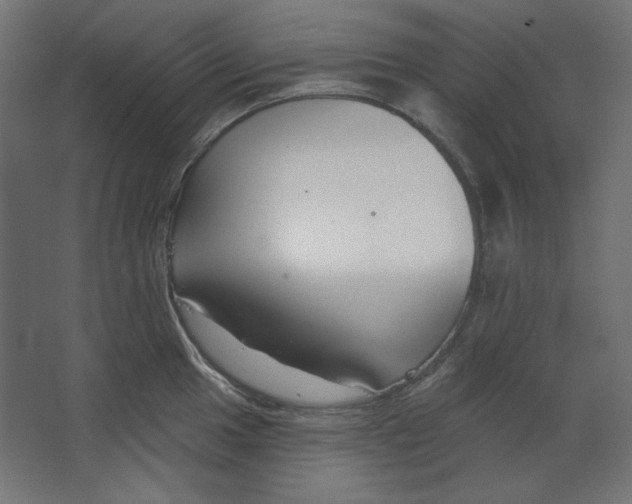 X0000067331049200604211904