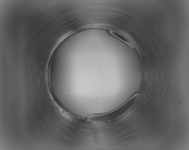 X0000067331050200604211904