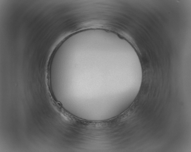 X0000067331051200604211904