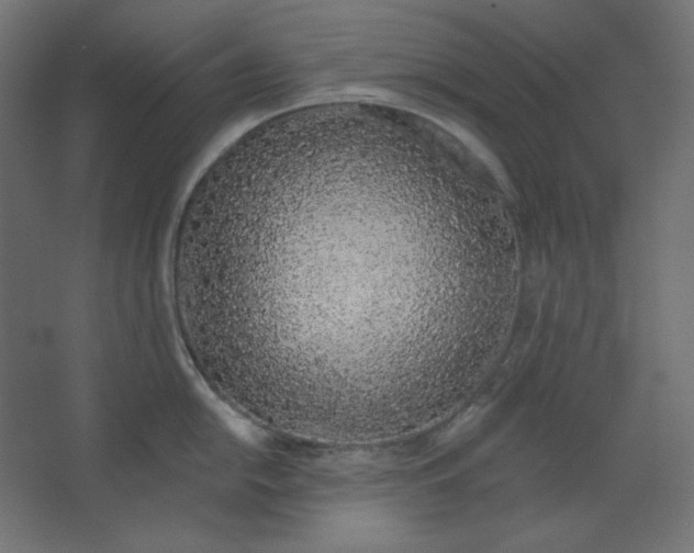 X0000067331054200604211904