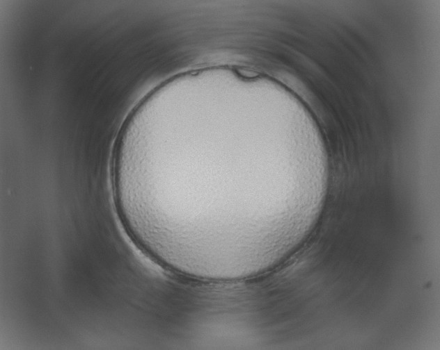 X0000067331055200604211904