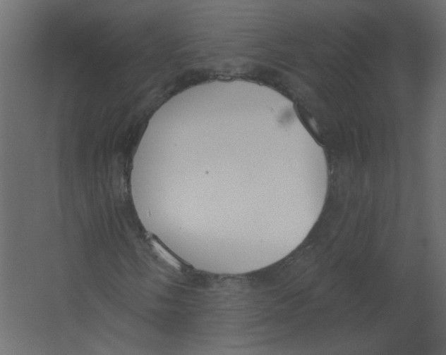 X0000067331058200604211904