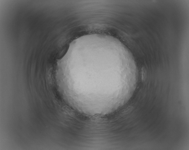 X0000067331059200604211904
