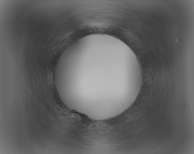 X0000067331061200604211904