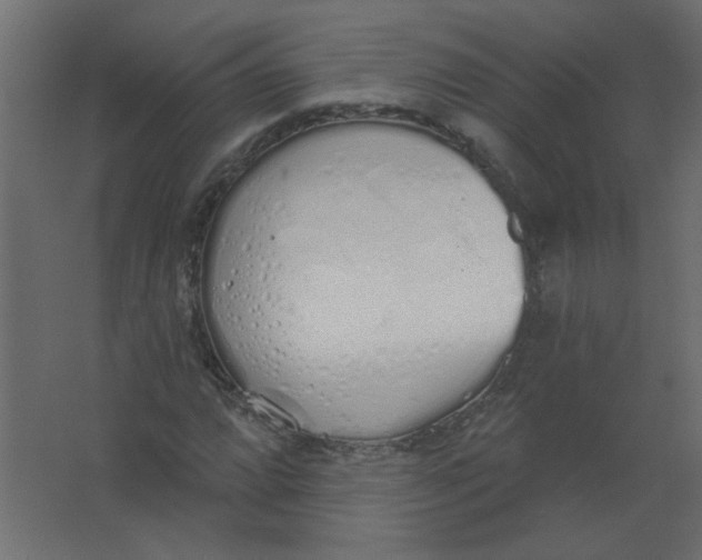 X0000067331064200604211904