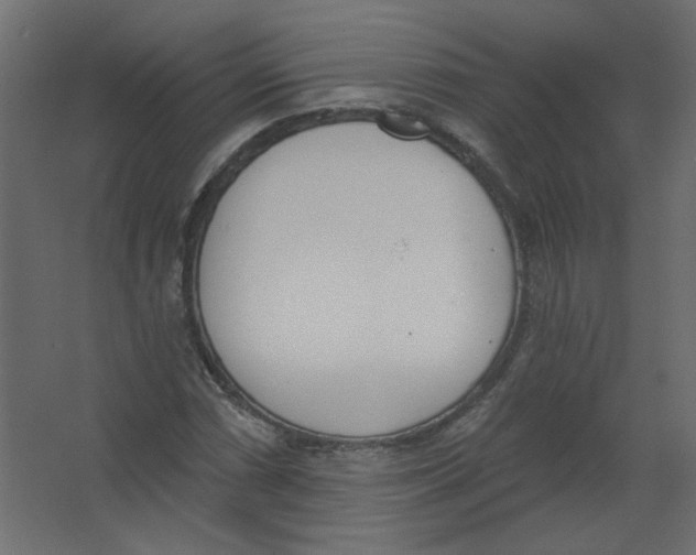 X0000067331066200604211903