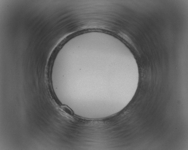 X0000067331068200604211903