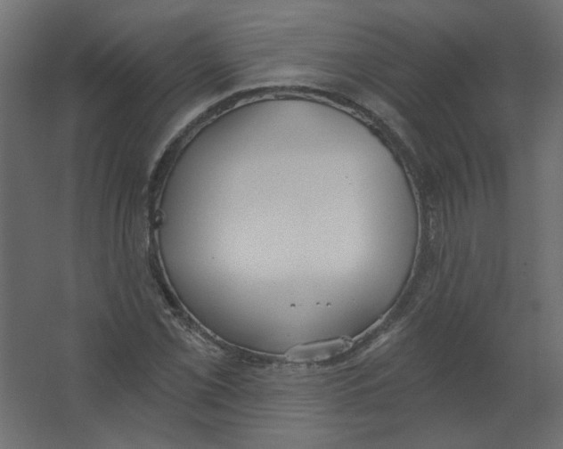 X0000067331069200604211903